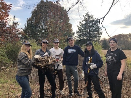Students remove invasive plants at Osamequin Nature Preserve