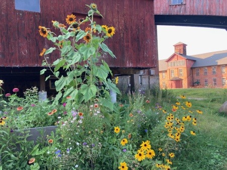 The Permaculture Place at The Mill, Urban Perennial Foods Garden