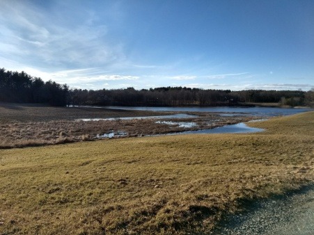 tidal edge of Squamscott River