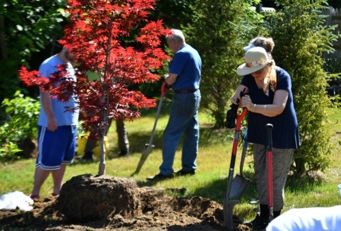 Volunteers donate time and plants to build a pollinator garden.