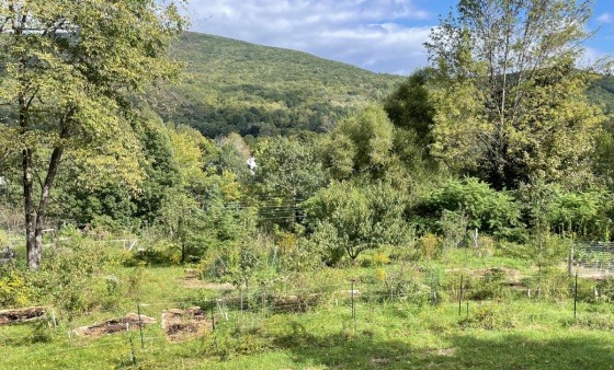 Upper Orchard Long View