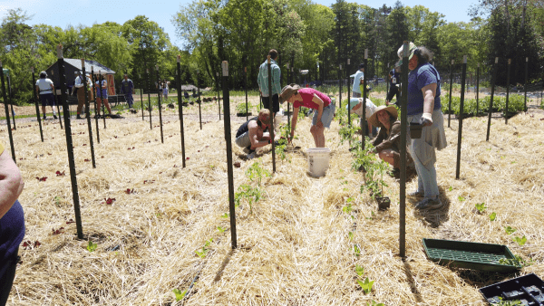 Service Garden Workday