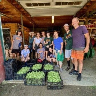 We harvested peas for hours to donate to local farms.  Group internship trip in 2021.