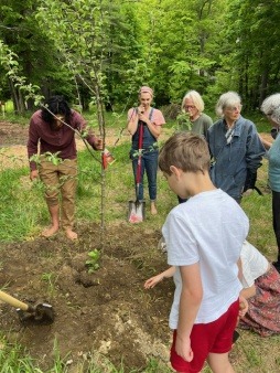Fruit Tree Planting