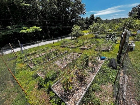 Tending Community Garden