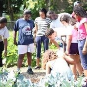 Urban residents grow food and develop skills for their future
